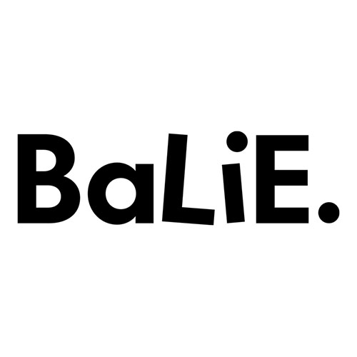 BaLiE – Barrierefreies Lernen in der Erwachsenenbildung: Ein Projekt der Hofgut Himmelreich gGmbH